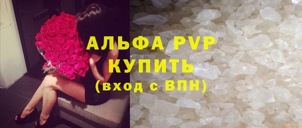 прущие грибы Беломорск
