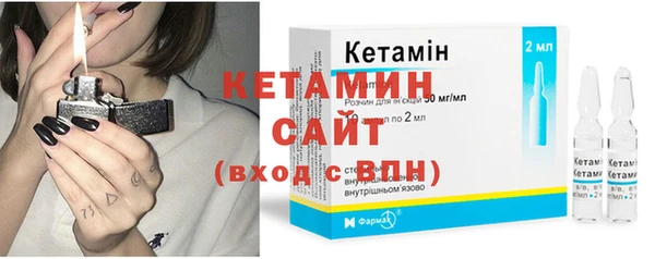 шишки Белокуриха
