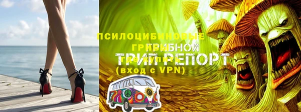скорость Баксан