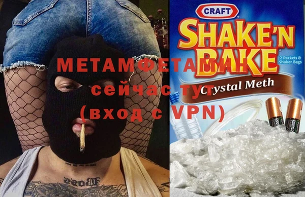 шишки Белокуриха