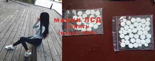 шишки Белокуриха