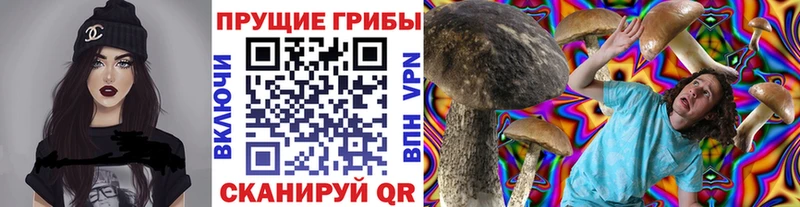 закладка  Красноармейск  KRAKEN ССЫЛКА  Псилоцибиновые грибы прущие грибы 